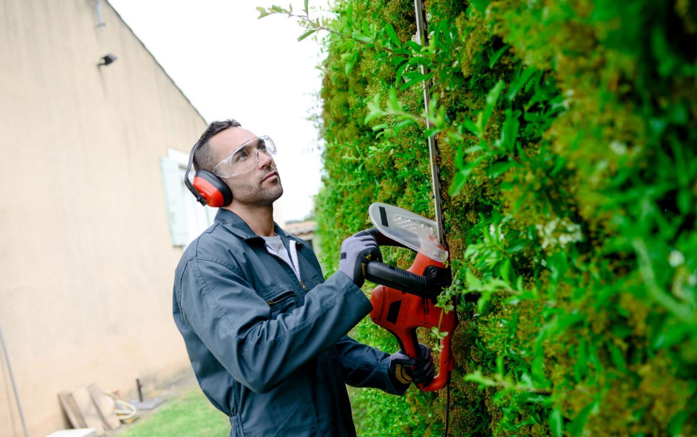Tree Service