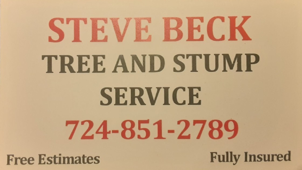 Steve Beck Tree and Stumps Business Card