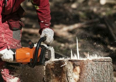 Tree Removal